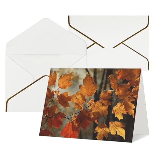 Cartes de vœux toutes occasions : lot de 12 pour ne jamais manquer