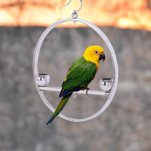 Perche pour oiseau en acier inoxydable avec coupelles d alimentation
