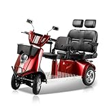 WIILAYOK Heavy Duty 4 Wheels Mobility Scooter, All Terrain Electric Mobility Scooters for Adults and Seniors, 1000W Motor, Fat Tire, 2 Seats, 600 LBS Capacity, 15 MPH Max Speed, 25-31 Miles of Range