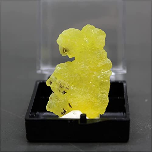 Brucite jaune naturelle de 3,4 cm | Pierre de collection et lithothérapie