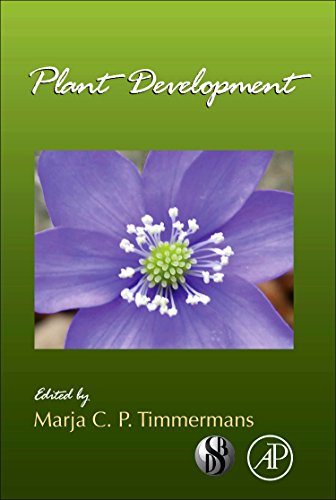 Plant Development view 2