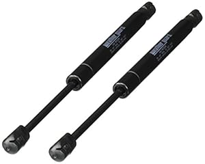 Weather Guard 7249 Gasfeder - 2 Stück