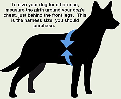 Image of Yellow Dog Design Anchors Away Step-in Dog Harness 3 /4 inch Wide and Fits Chest Circumference of 9 to 15 inch, Small