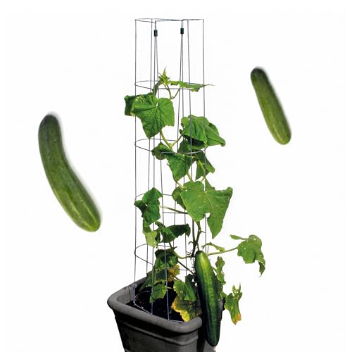 bellissa Gurken-Rankhilfe aus Stahl einzeln 120cm verzinkt Gurkenturm Rankgitter für Tomaten Gurken etc. Stabile Pflanzenstütze für Garten Hochbeet & Töpfe Wetterfest & wiederverwendbar