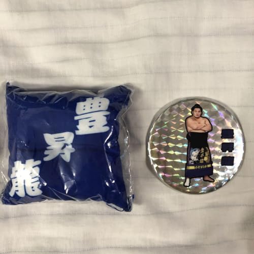 Sumo Gacha Toyoshoryuseki Can Batch Mini Zabuton Key Chain Set of 2