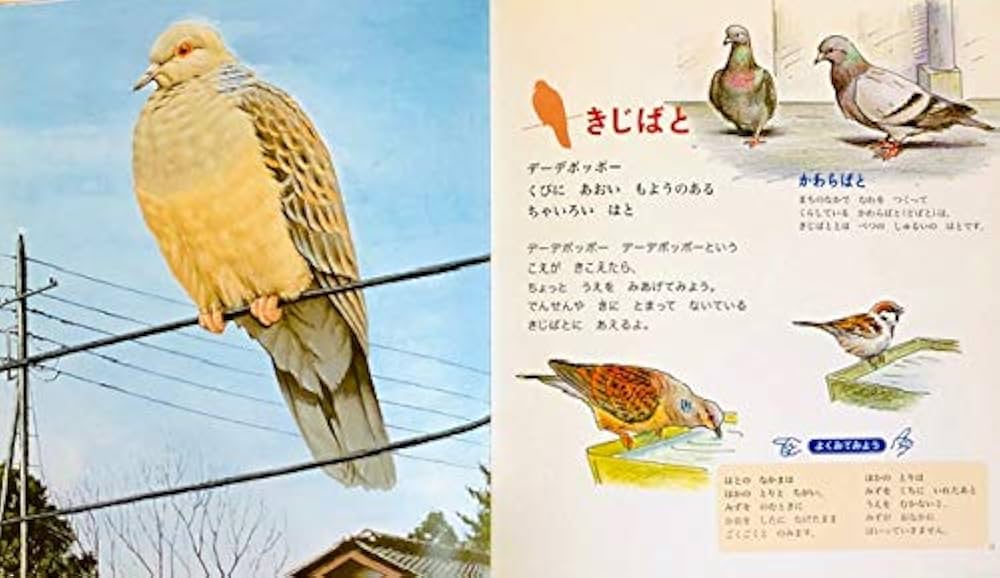 野鳥の絵本　みぢかなとりのずかん他　かがくのとも　キンダーブックしぜん 野鳥の絵本 みぢかなとりのずかん他 かがくのとも
