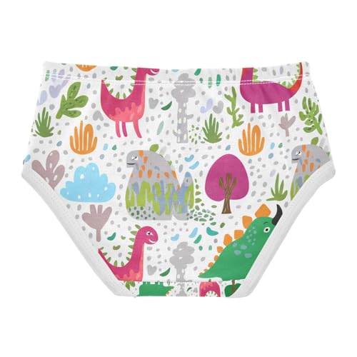 Colorful Cartoon Dinosaurs Toddler Girls's Underwear 2T 202c11962