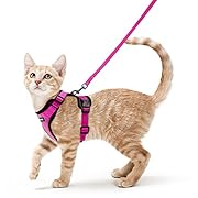 rabbitgoo Котешки ремък с каишка Мек ремък за...