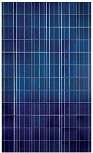 Prabha DHOOP 40W 12V PV Solar Panel Module (Pack of 1)