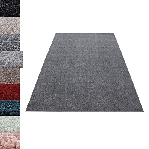 Carpettex Teppich Alfombra, Pelo Corto Moderno Salón Monocolor Modelo Uni Favorable para Ti. Colores - Gris Claro, 160x230...