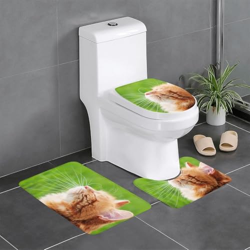  L L ʔ ˂ 3_Zbg t^Jo[ ֍Jo[ U^ O^ @ ~ ʗp^ z 􂦂  }bg 킢 40x60cm