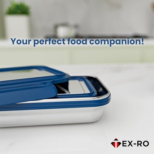 Image of TEX-RO Tiffin Box Steel | Stainless Steel Lunch Boxes | Steel Lunch Box for School | Leakproof Stainless Steel Tiffin Box for Kids, School, Office - Blue
