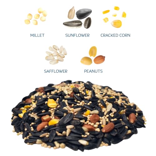 Image of Audubon Park Songbird Wild Bird Seed, 10 lb. | Year-round outdoor bird food for outside feeders