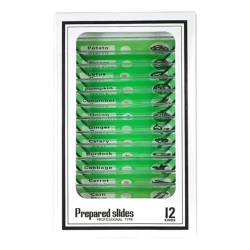 Lbg vX`bNXCh Tv ANZT YA_v^[(3)