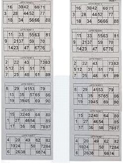 Braintastic Kids 600 Tambola Tickets