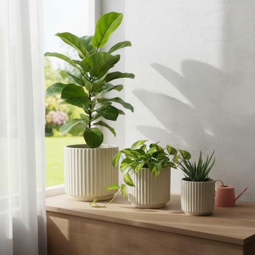 Image of Xtore Atelier Ceramic Ribbed Planter Set | Minimal Vertical Groove Plant Pots for Home, Office & Living Room Decor - (Set of 3, Beige,Planter ONLY)
