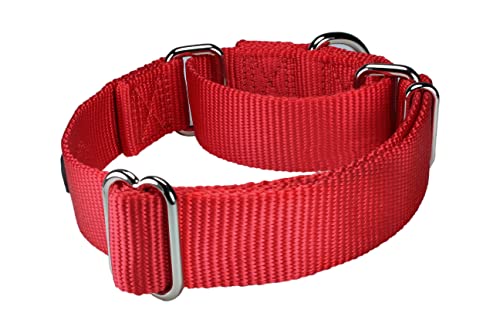 Mikivery marraht EIN hundehalsband mit verschlafenem farbenprächtigen metallhalsband für Haustiere eignet Sich für kleine mittelgroße und groß
