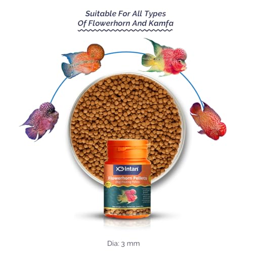 Image of Intan Flower Horn Pellets (Big 3.0mm Floating) | 27gm - Highly Nutritious Ornamental Fish Food for Flowerhorn & Kamfa | Growel Feeds