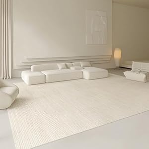 Luxe Faux Fluffy Vloerkleed voor een Woonkamer met Veel Verkeer, Modern Ombre Tonaal Ontwerp