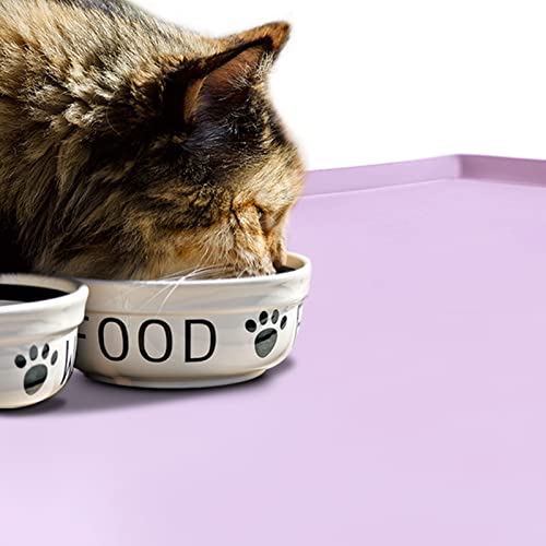 EIOKIT Dog Food Mat,Silicone Waterproof Food Tray,Non Slip Pet Bowl Mats Placemat,0.6" Raised Edge,Suitable for Most Small and Medium Sized Pets,18.5" x 11.5"