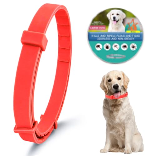 CWED 1 Pieza Collar Antiparasitario Perros, Aplicable a Animales Grandes, Collar Universal Ajustable para Perros y Gatos (Naranja)