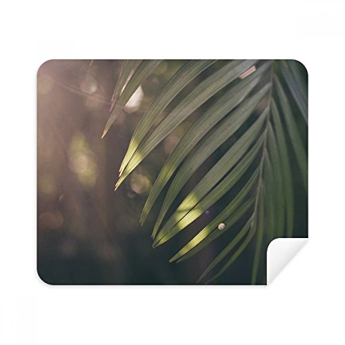 Tissu de nettoyage de lunettes en suède premium graphisme nature
