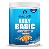 Bodylab24 Daily Basic Powder Ice Tea Peach 880g, All in One Fitness Drink, BCAAs, Kreatin, Beta Alanin, Elektrolyte, Intra Workout, Pre Workout, Recovery Supplement, lecker und fruchtig im Geschmack