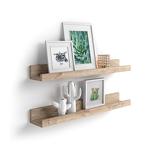 Mobili Fiver, Par de estantes para Cuadros, Modelo First, 80 cm, Encina,...
