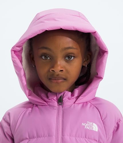 Image of THE NORTH FACE unisex-baby North Down Fleece-lined Parka