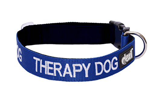 Dexil Limited THERAPY DOG Blue Colour Coded S-M L-XL Neopreen Gewatteerde halsband VOORKOMT ongevallen door anderen van uw hond vooraf te waarschuwen (S-M)