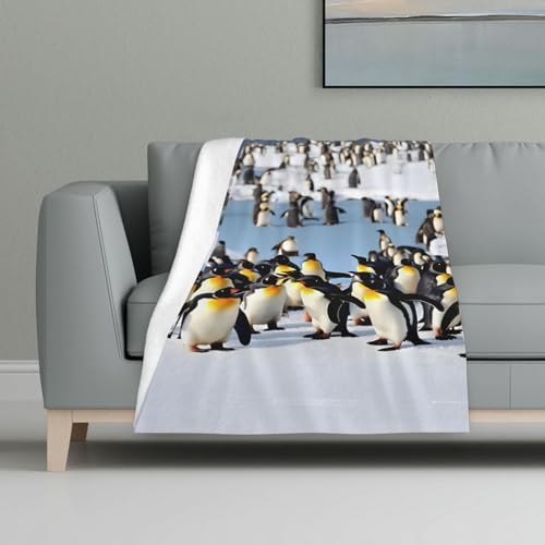 Couverture flanelle pingouin contre le froid du lit et canapé