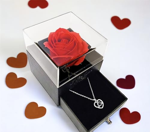 preserved red rose in a acrylic box with i love you necklace gift set4