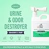 SKOUT'S HONOR Pet Urine & Odor Destroyer Concrete & Turf - Professional Strength, Plant-Powered, Cruelty-Free Urine Eliminator for Concrete, Turf, and Outdoor Living Spaces 32 oz.
