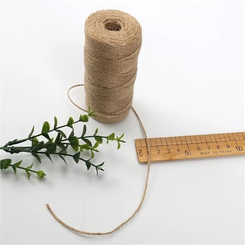 Cuerda de algodón trenzada de 2mm: 3 rollos de hilo de cáñamo natural de 100 metros 4
