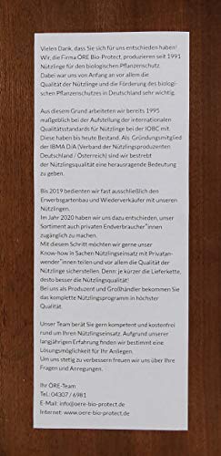 nemabest® SF Nematoden 1,5 Mio. (15 Pflanzen/3m²) gegen Trauermücken – Ansicht 4