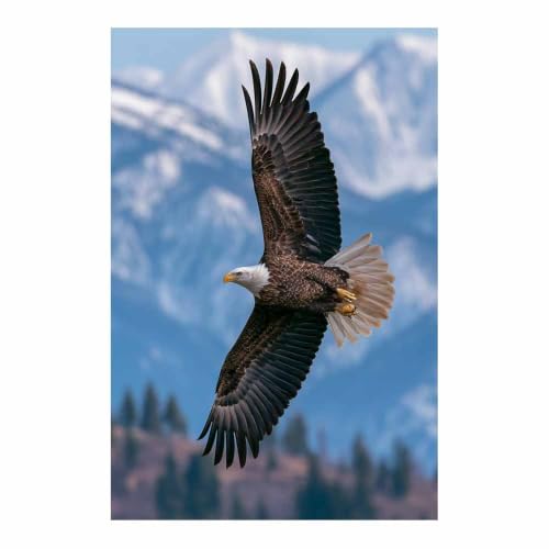 Peinture murale art toile animal aigle paysage montagnard sejour multicolore