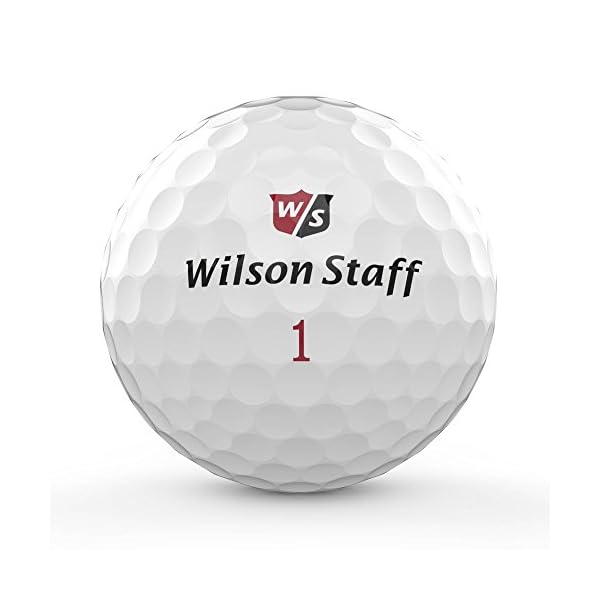 Wilson Staff Herren Golfbälle, 12er Pack, Anfänger, 29er Kompression, Dx2 SOFT, Weiß, WGWP40400