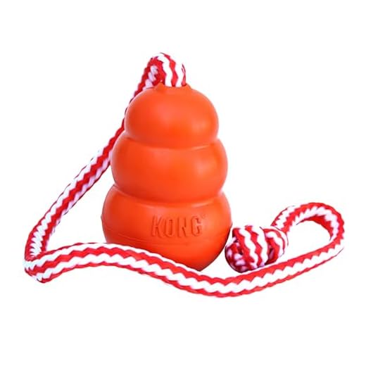 KONG - Aqua - Drijvend Fetch Toy