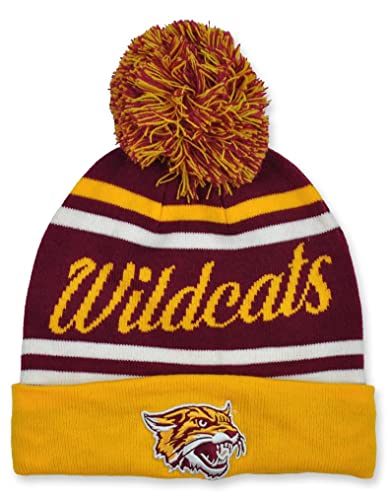 Bethune-Cookman University Pom Beanie Maroon, One Size