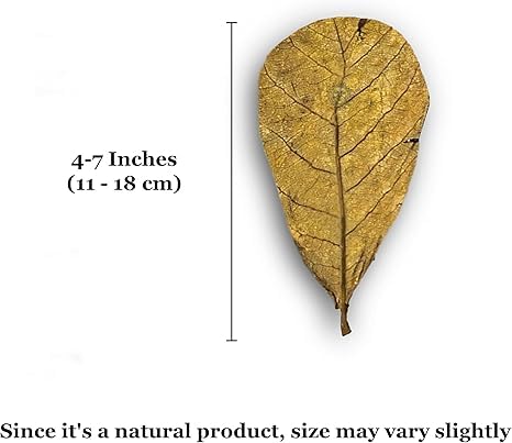 Image of SunGrow Leaf Litter for Snakes, 10 Pcs Medium Indian Almond Catappa Leaves Substrate Maintain Humidity in Corn Snake and Ball Python Terrarium, 4-7 Inches, Reptile Tank Decor Accessories