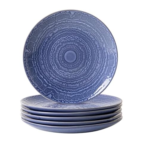 MONITO Ceramic Dinner Plates Set of 6,8.5 Inch Reactive Glaze Porcelain Plates, Dinnerware Dishes Set for Kitchen,Microwave,Dishwasher,Oven Safe,Psychedelic Blue Cover