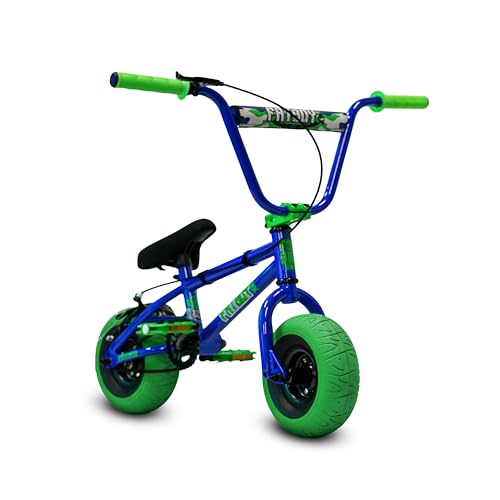 Fatboy Mini BMX Bike for Kids and Adults – 10"