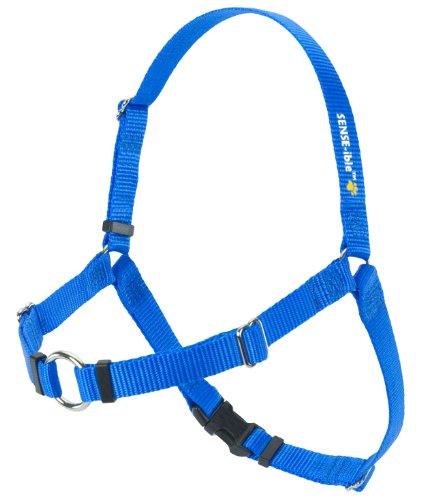 Softouch Sense-ible No-Pull Dog Harness - Blue Medium/Large Narrow