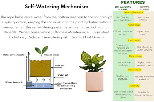 Image of Indian Discovery Self Watering Tabletop Planter| Flower Pots for Home, Terrace, Balcony, Vertical Garden Decor Flower Pots(1 PC, Peach, Square) |6 Inch UV-Resistant Plastic Plant Pots