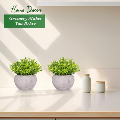 Small Fake Plants for Bathroom Shelf Decor, Mini Artificial Plants Indoor Fake Succulent Grass Desk Plant for Office Women Coffee Table Decor Fake Potted