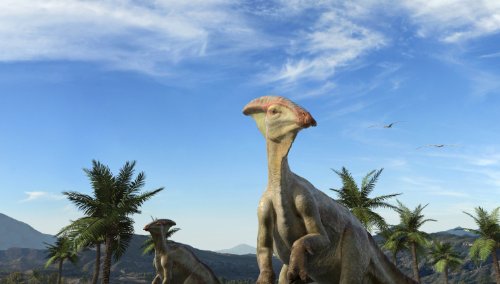 IMAX: Sea Rex 3D - Reise in die Zeit der Dinosaurier [3D Blu-ray]