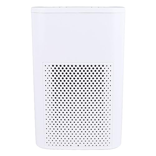 Purificador de aire Syrisora para humo y olores miniatura 1
