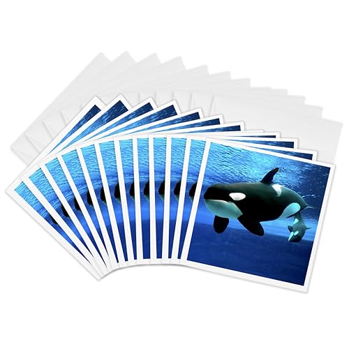 Lot de 12 cartes de vœux Killer Whales 3dRose pour correspondances