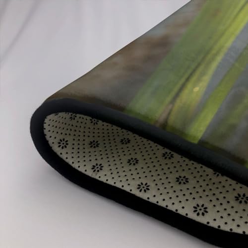 Tapis antidérapant lavable grand format libellule 183x122