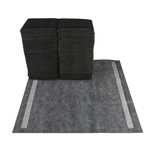Image of Martha Stewart for Pets Training Pads for All Dogs & Puppies | 23 inch x 23 inch Puppy Pads Effective Way to Train Your Dog or Puppy and Keep Your Home Clean (Pack of 1,100 Count Total)
